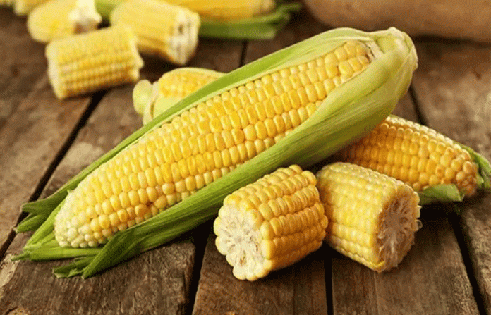 sweet-corn