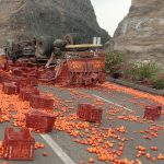 tomato-accident