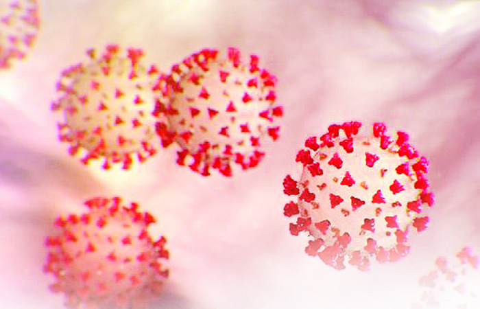 ‘डेल्टा प्लस’ची चिंता नको, फक्त नियम पाळा! आरोग्यमंत्र्यांचे आवाहन