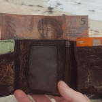 money-purse