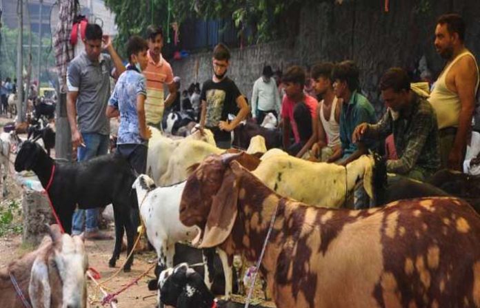 17_07_2021-bakra_21839869_7289767