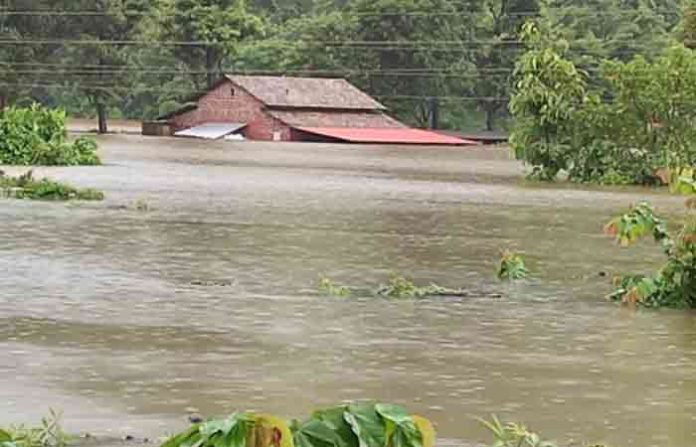 konkan-flood