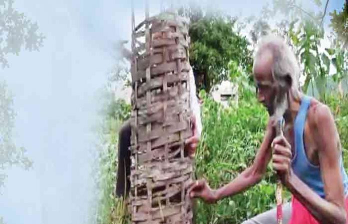 tree-man-lead-copy