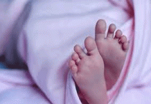 मोबाईलच्या टॉर्चमध्ये प्रसूती करून बाळ, बाळंतिणीला वाचवले, शिव आरोग्य सेनेने केला डॉक्टरांचा सन्मान