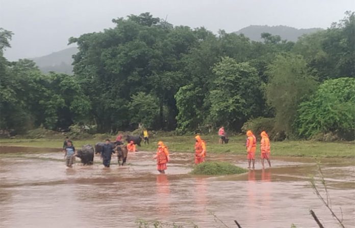 chiplun-rescue