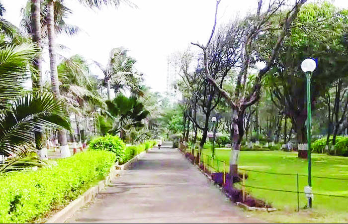 कोस्टल रोडच्या बांधकामाचा मार्ग मोकळा, टाटा गार्डनमधील झाडे तोडण्यास आक्षेप घेणारी याचिका फेटाळली