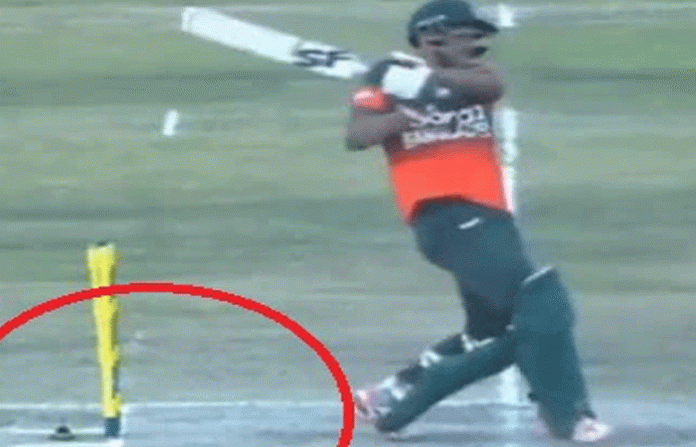 cricket