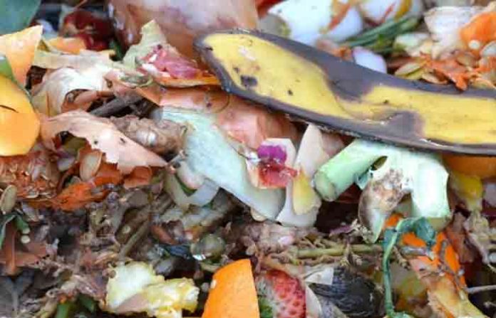garbage-food