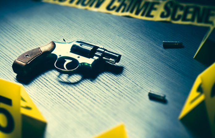gun