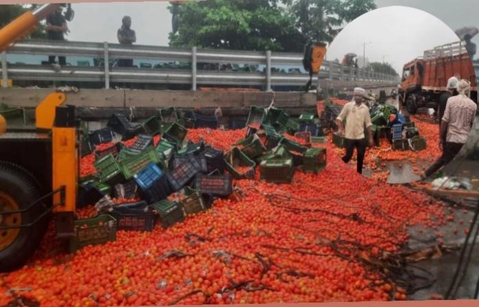 thane-tomato