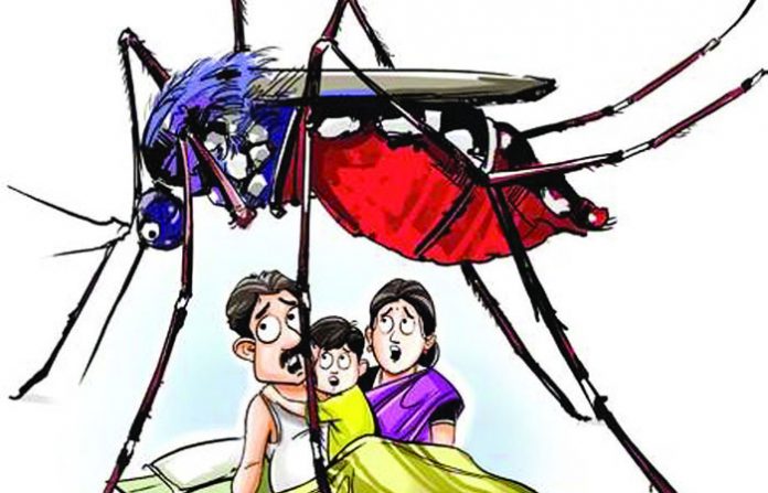 dengue_claims