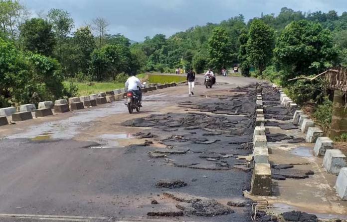 devni-bridge