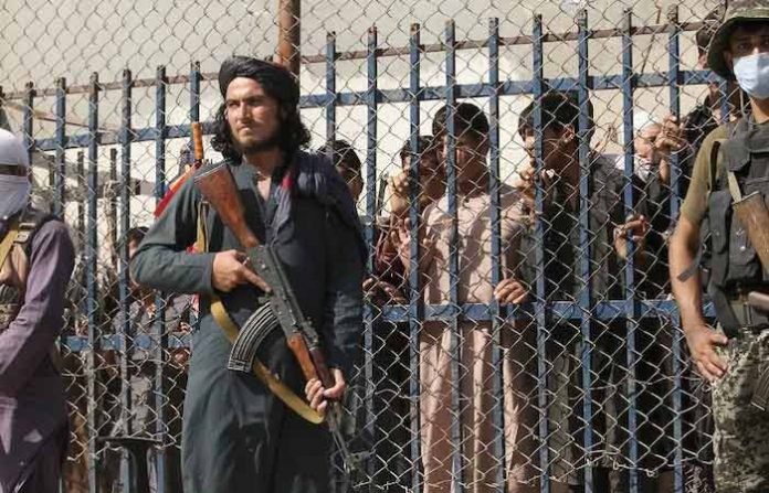 taliban