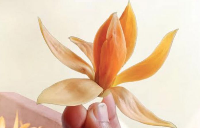 chafa-flower