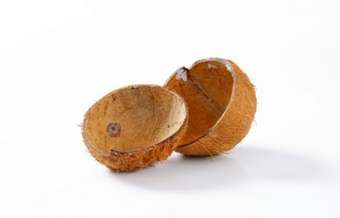 coconut-shell