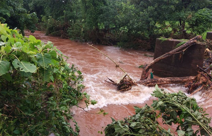 dapoli-rain-2