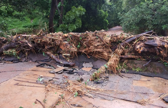 dapoli-rain-3