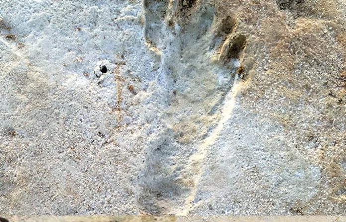 footprint