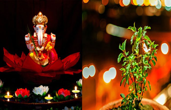 ganesh-tulsi