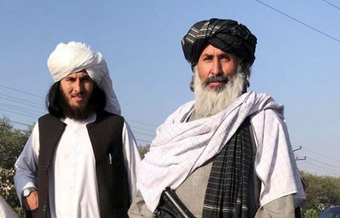 taliban