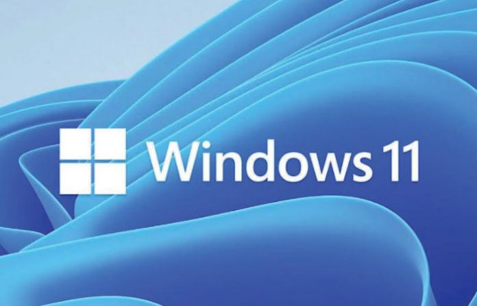 windows-11