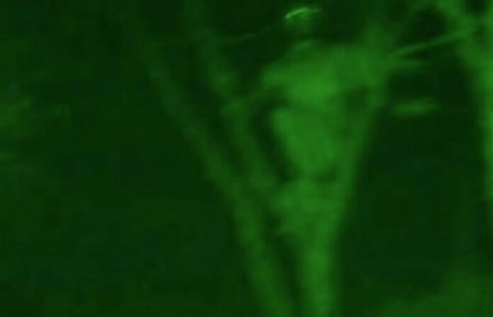 Peeping ghost