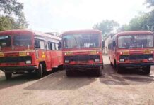 शालेय सहलीसाठी एसटीच्या नवीन बसेस, 251 आगारांमधून दररोज 800 ते 1000 गाड्या धावणार