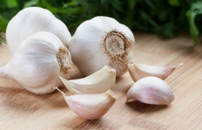 garlic