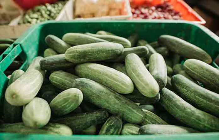 cucumber
