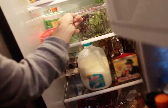 keeping-food-fridge