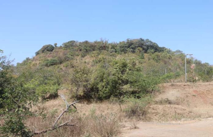 sanjivani-dongar-1