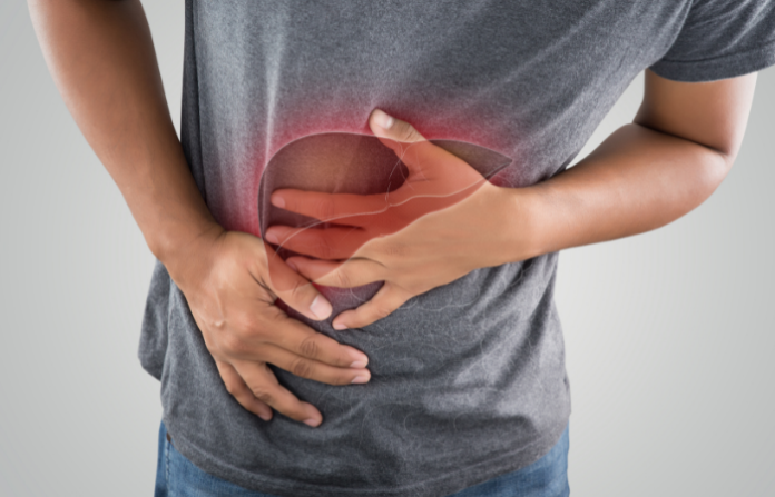 liver