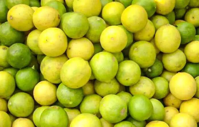 lemons-1