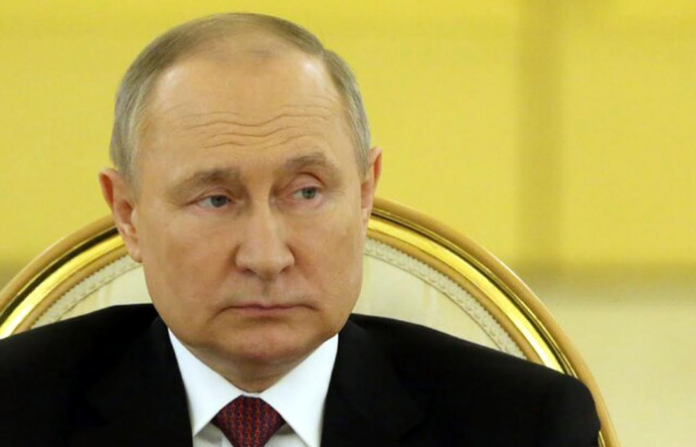 putin photo