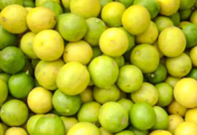 हे करून पहा – लिंबू जास्त दिवस ताजेतवाने ठेवण्यासाठी…