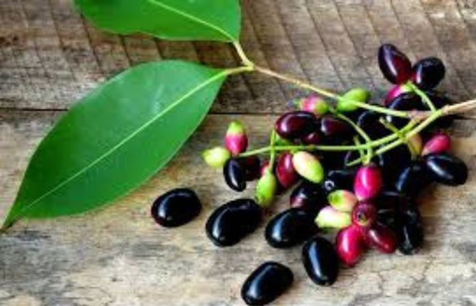 jamun
