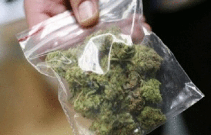 GANJA