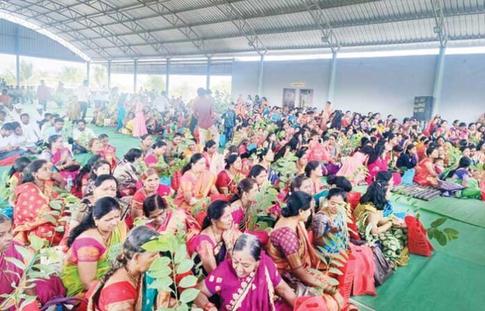 plants-distribution-wedding