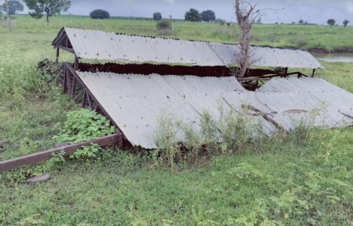 sangavi 1