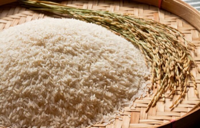 rice