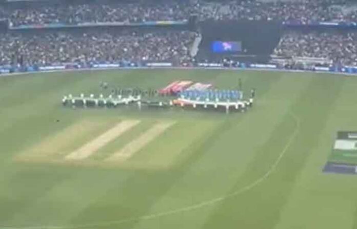 cricket