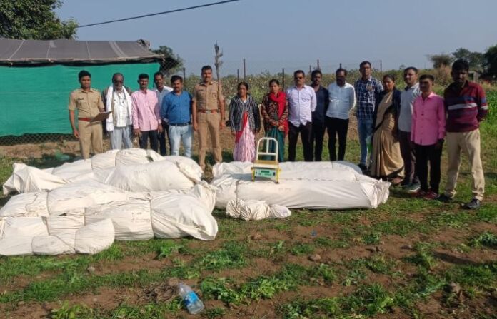 JALNA GANJA