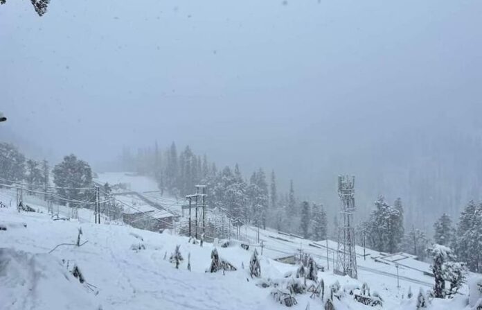 himachal-snowfall-1