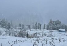 जम्मू-कश्मीरमध्ये बर्फवृष्टी अन् थंडीची लाट