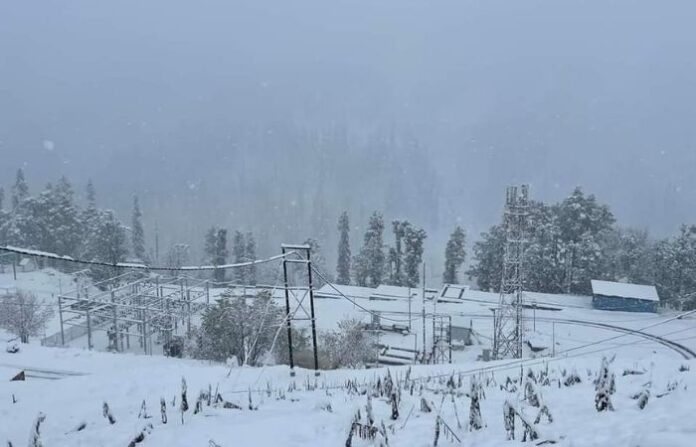 himachal-snowfall-2