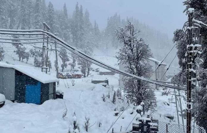 himachal-snowfall-3