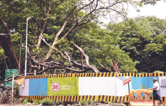 in-aarey_car_shed