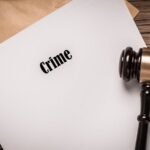 crime(1)