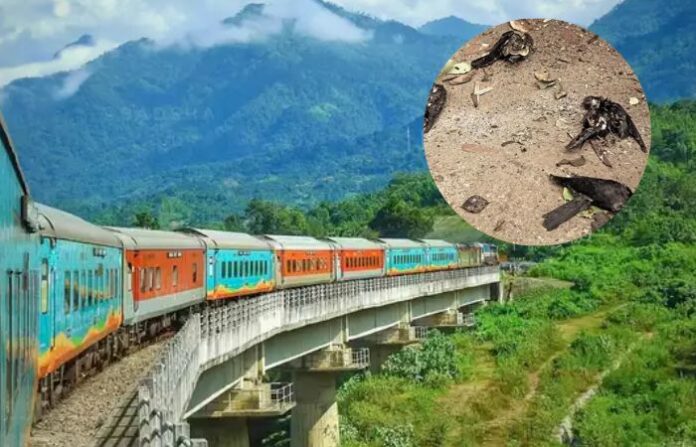 Jatinga Valley Assam