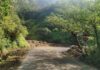 ambenali ghat satara mahabaleshwar